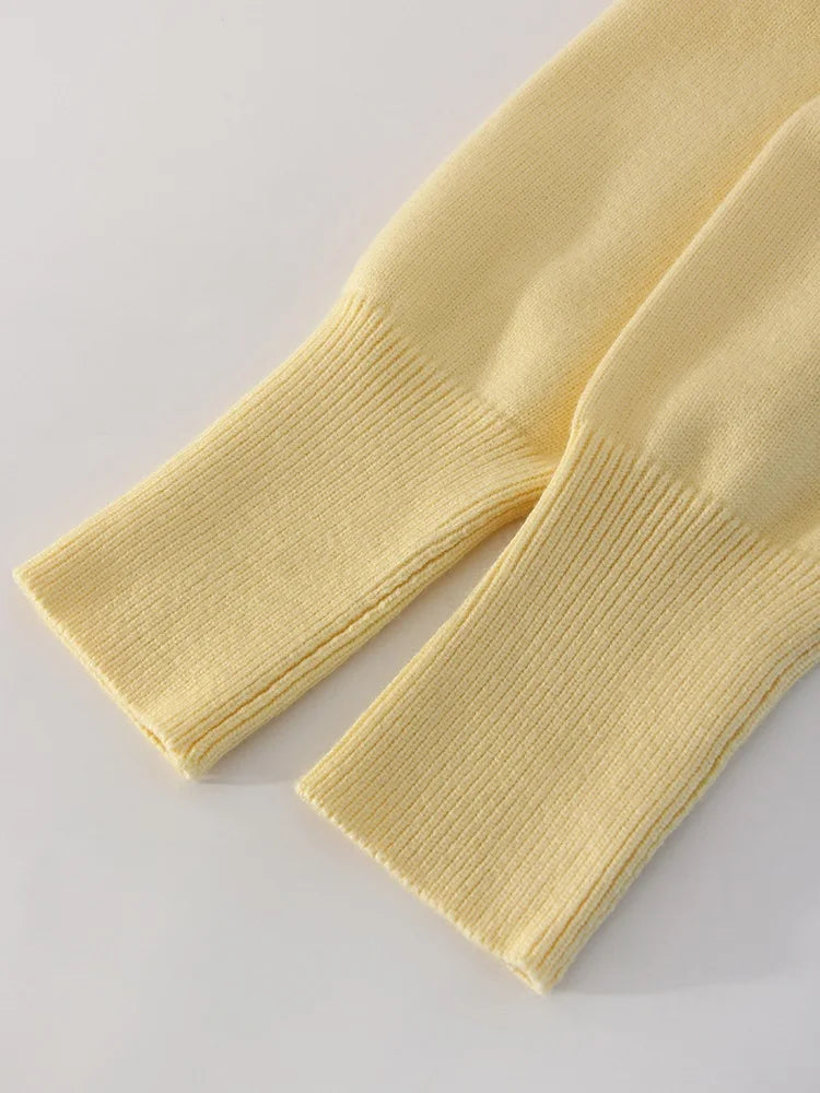 Signature Heavy Knit Turtleneck Sweater — Oversized Fit